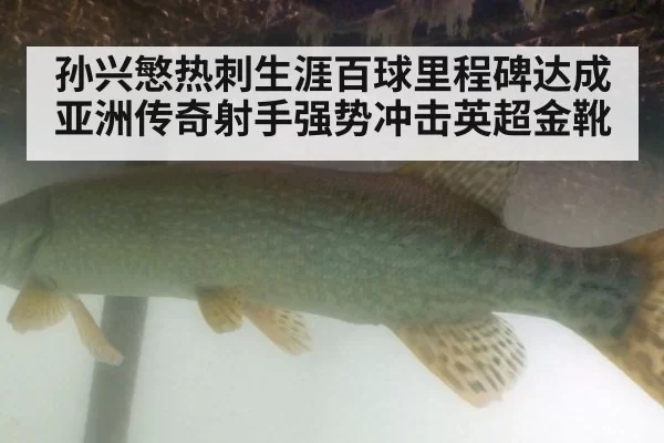孙兴慜热刺生涯百球里程碑达成 亚洲传奇射手强势冲击英超金靴
